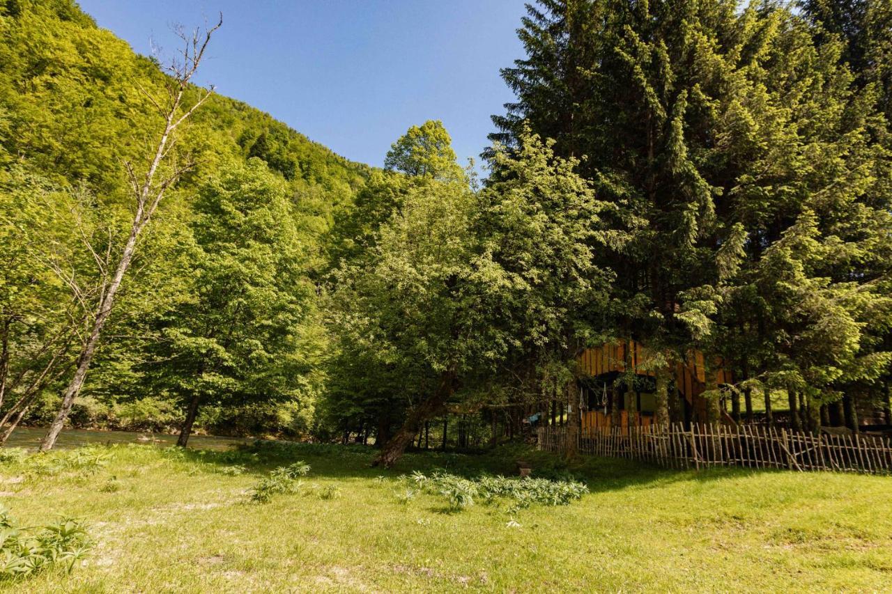 Treehouse Kupari Nacionalni Park Risnjak Cabar Kültér fotó
