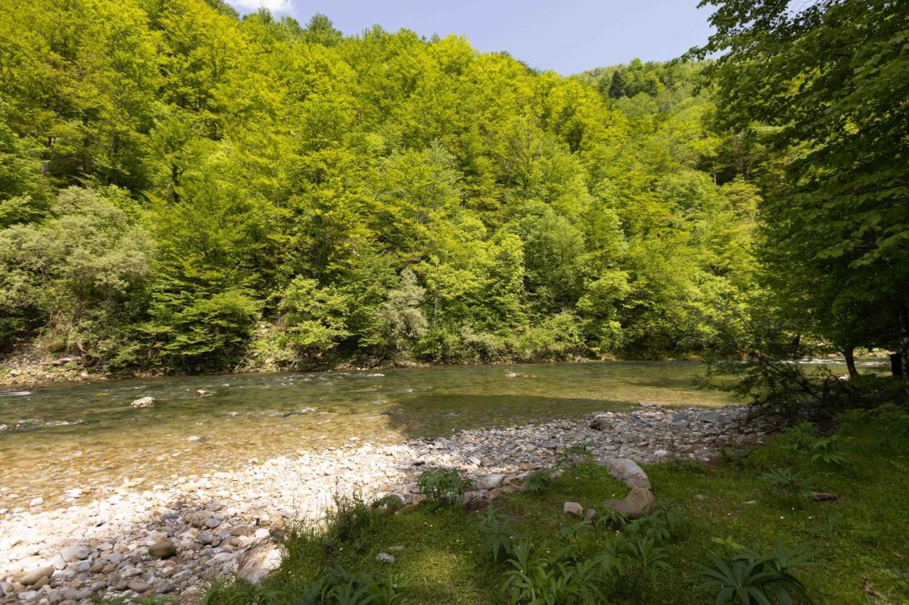 Treehouse Kupari Nacionalni Park Risnjak Cabar Kültér fotó