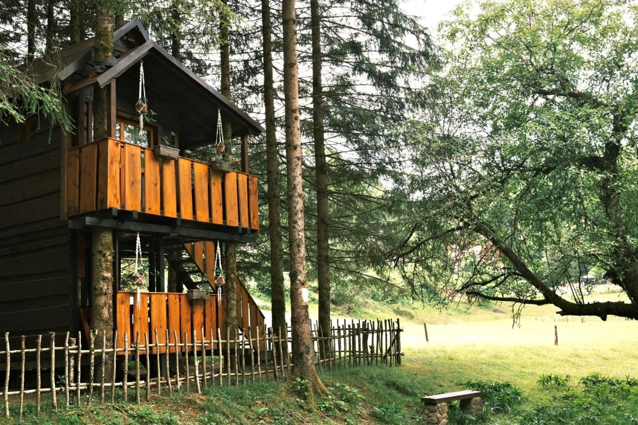 Treehouse Kupari Nacionalni Park Risnjak Cabar Kültér fotó