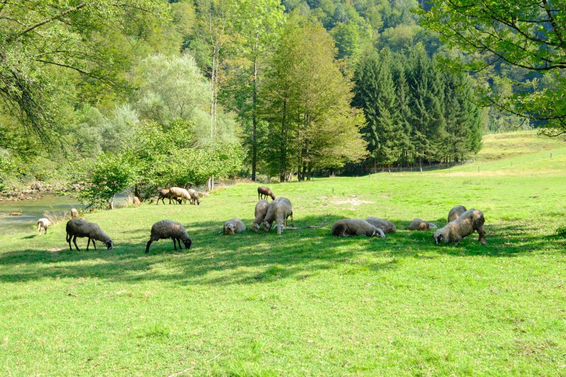 Treehouse Kupari Nacionalni Park Risnjak Cabar Kültér fotó